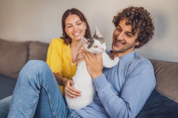 Assurance chat : Comment optimiser ses remboursements et protections ?